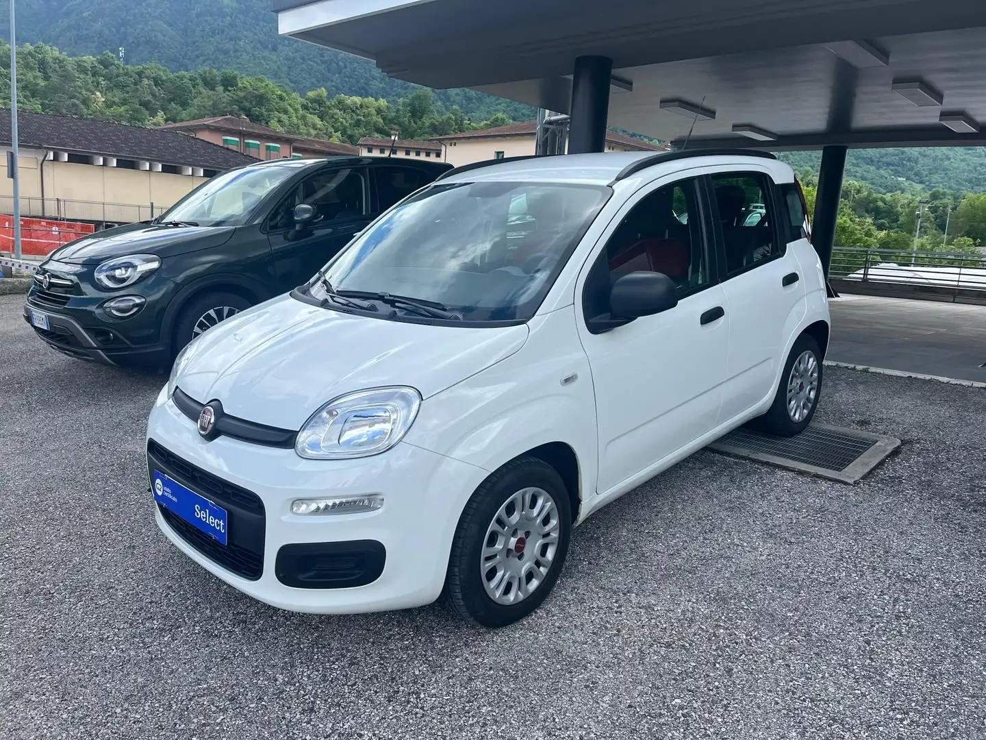 Fiat Panda 1.2 Lounge 69cv Bianco - 2