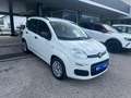 Fiat Panda 1.2 Lounge 69cv Bianco - thumbnail 3