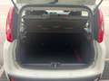 Fiat Panda 1.2 Lounge 69cv Bianco - thumbnail 14