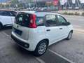 Fiat Panda 1.2 Lounge 69cv Bianco - thumbnail 4