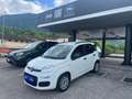 Fiat Panda 1.2 Lounge 69cv Bianco - thumbnail 1