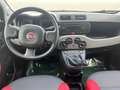 Fiat Panda 1.2 Lounge 69cv Bianco - thumbnail 9