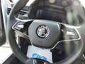 Skoda Kamiq Clever 1.0TSI 110kW LED NAV var. LB Argento - thumbnail 16