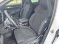 Skoda Karoq Sportline 2,0 TDI 4x4 DSG Weiß - thumbnail 15