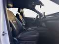 Ford Kuga 1.5 EcoBlue 120 CV aut. 2WD ST-Line X Bianco - thumbnail 3