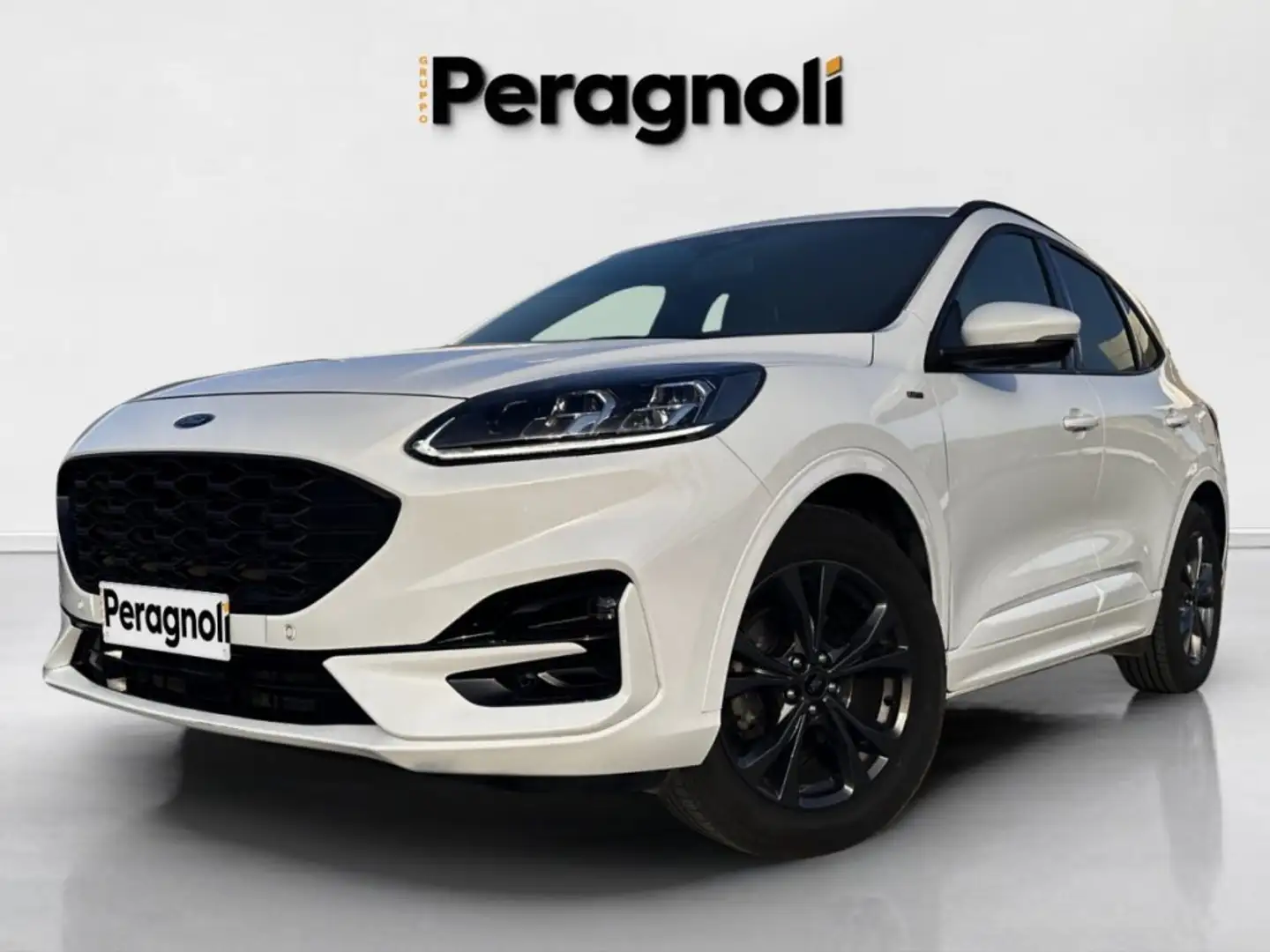 Ford Kuga 1.5 EcoBlue 120 CV aut. 2WD ST-Line X Bianco - 1