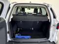 Ford EcoSport 1.0 EcoBoost 125 CV Start&Stop ST-Line Weiß - thumbnail 18