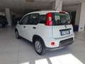 Fiat Panda 1.0 FireFly S&S Hybrid  MY24 - thumbnail 4