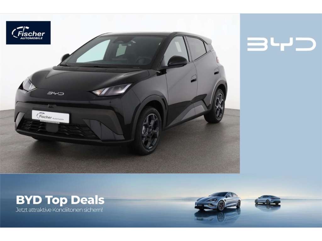 Brugt Byd Dolphin electro