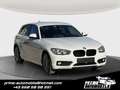 BMW 116 116d Advantage *SITZH*TEMPOMAT* Bianco - thumbnail 1