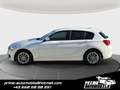 BMW 116 116d Advantage *SITZH*TEMPOMAT* Bianco - thumbnail 6