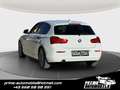 BMW 116 116d Advantage *SITZH*TEMPOMAT* Bianco - thumbnail 5
