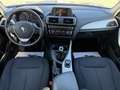 BMW 116 116d Advantage *SITZH*TEMPOMAT* Bianco - thumbnail 14
