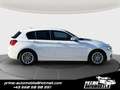 BMW 116 116d Advantage *SITZH*TEMPOMAT* Bianco - thumbnail 2