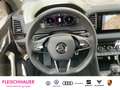 Skoda Karoq Sportline 2.0 TSI DSG 4x4 AD StandHZG Navi Digital Gris - thumbnail 14