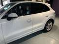 Porsche Cayenne S/ Hinterachslenkung/Luftfederung/Carbon Blanc - thumbnail 28