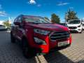 Ford EcoSport Cool&Connect* MOTOR neu * Rood - thumbnail 4