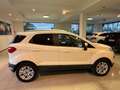 Ford EcoSport 1.5 TDCi 95 CV Solo 98.000 Km Blanc - thumbnail 3
