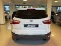 Ford EcoSport 1.5 TDCi 95 CV Solo 98.000 Km Blanc - thumbnail 5