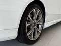 Ford Mondeo 1.5 EcoBoost ST-Line Aut. 160 Blanco - thumbnail 13