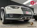 Audi A4 allroad 2.0 TDI 190 CV cl.d. S.tr. Ambiente Blanco - thumbnail 24