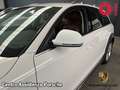 Audi A4 allroad 2.0 TDI 190 CV cl.d. S.tr. Ambiente Blanc - thumbnail 21