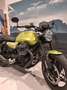 Moto Guzzi V7 Sport Sport Verde - thumbnail 3