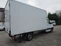 Mercedes-Benz Sprinter 317 Koffer Weiß - thumbnail 5