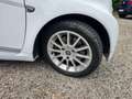 smart forTwo 1000 52 kW MHD cabrio passion Bianco - thumbnail 14