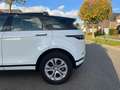 Land Rover Range Rover Evoque Evoque 2.0 Turbo MHEV 4WD P200 S PANO Wit - thumbnail 6