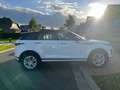 Land Rover Range Rover Evoque Evoque 2.0 Turbo MHEV 4WD P200 S PANO Wit - thumbnail 8