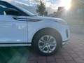 Land Rover Range Rover Evoque Evoque 2.0 Turbo MHEV 4WD P200 S PANO Wit - thumbnail 7