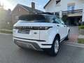 Land Rover Range Rover Evoque Evoque 2.0 Turbo MHEV 4WD P200 S PANO Wit - thumbnail 12