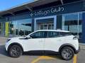 Peugeot 2008 2ª serie BlueHDi 100 S&S Active Blanc - thumbnail 9