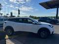 Peugeot 2008 2ª serie BlueHDi 100 S&S Active Blanc - thumbnail 5