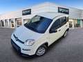 Fiat Panda 1.0 Gse Hybrid Blanco - thumbnail 35