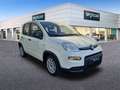 Fiat Panda 1.0 Gse Hybrid Blanco - thumbnail 3