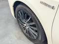 Toyota Auris Hybrid Start Edition 1.8  |KAM|TEMP|SHZG| Blanc - thumbnail 30