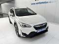Subaru XV 2.0i Hybrid CVT Executive Plus Blanc - thumbnail 6