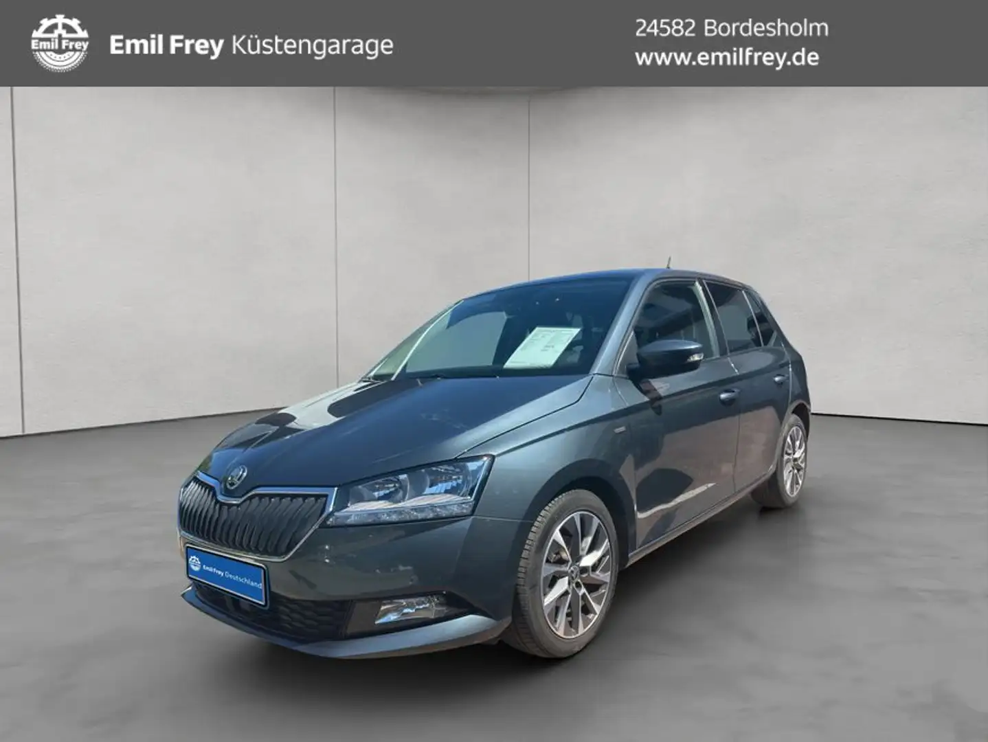 Skoda Fabia 1.0 TSI Clever ACC Klima RFK Sitzheizung Gris - 1