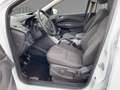 Ford Kuga 1.5 EcoBoost Trend *SHZ*KeyLess*W-Paket*PDC Weiß - thumbnail 5