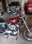 Harley-Davidson Sportster 1200 XL 1200 Low Rouge - thumbnail 3