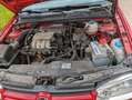 Volkswagen Golf Cabriolet Golf Cabrio 1.6 Highline Rojo - thumbnail 4