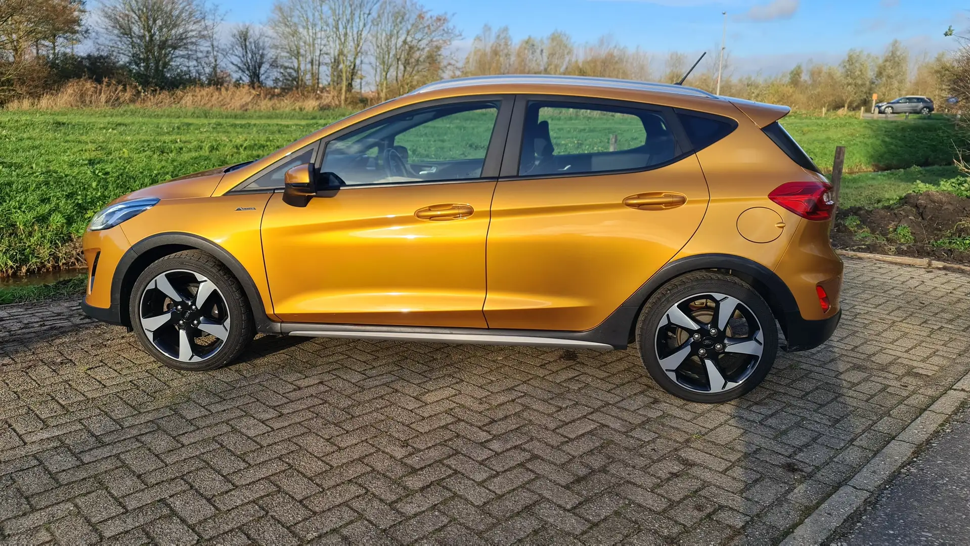 Ford Fiesta 1.0 EcoB. Active F.E Geel - 1