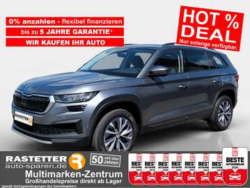 TDI DSG 4x4 Ambition Standhzg+AHK+Navi+Kamera+eHec