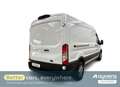 Ford Transit 350 L3H2 Lkw VA - thumbnail 2