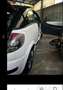 Citroen C3 C3 Pluriel Pluriel 1.4 hdi Elegance 70cv Bianco - thumbnail 3