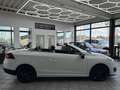 Renault Megane III Cabrio 1.6 dCi Luxe, 2.Hand, Leder Wit - thumbnail 6