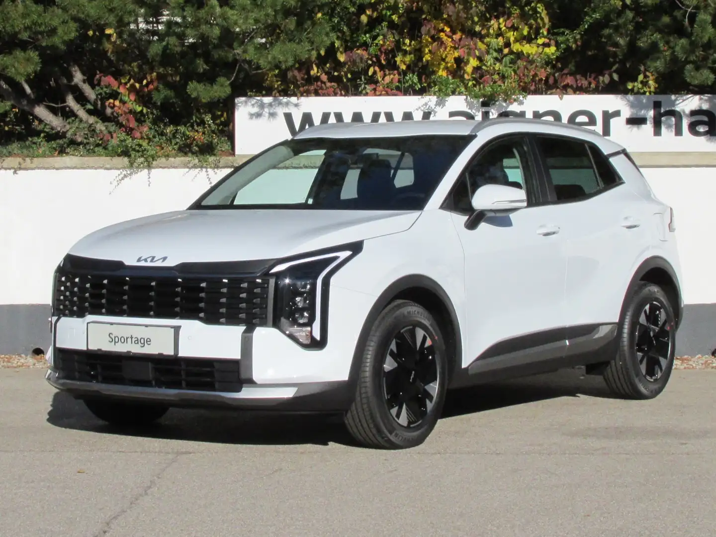 Kia Sportage 1,6 TGDI Silber Facelift Weiß - 1