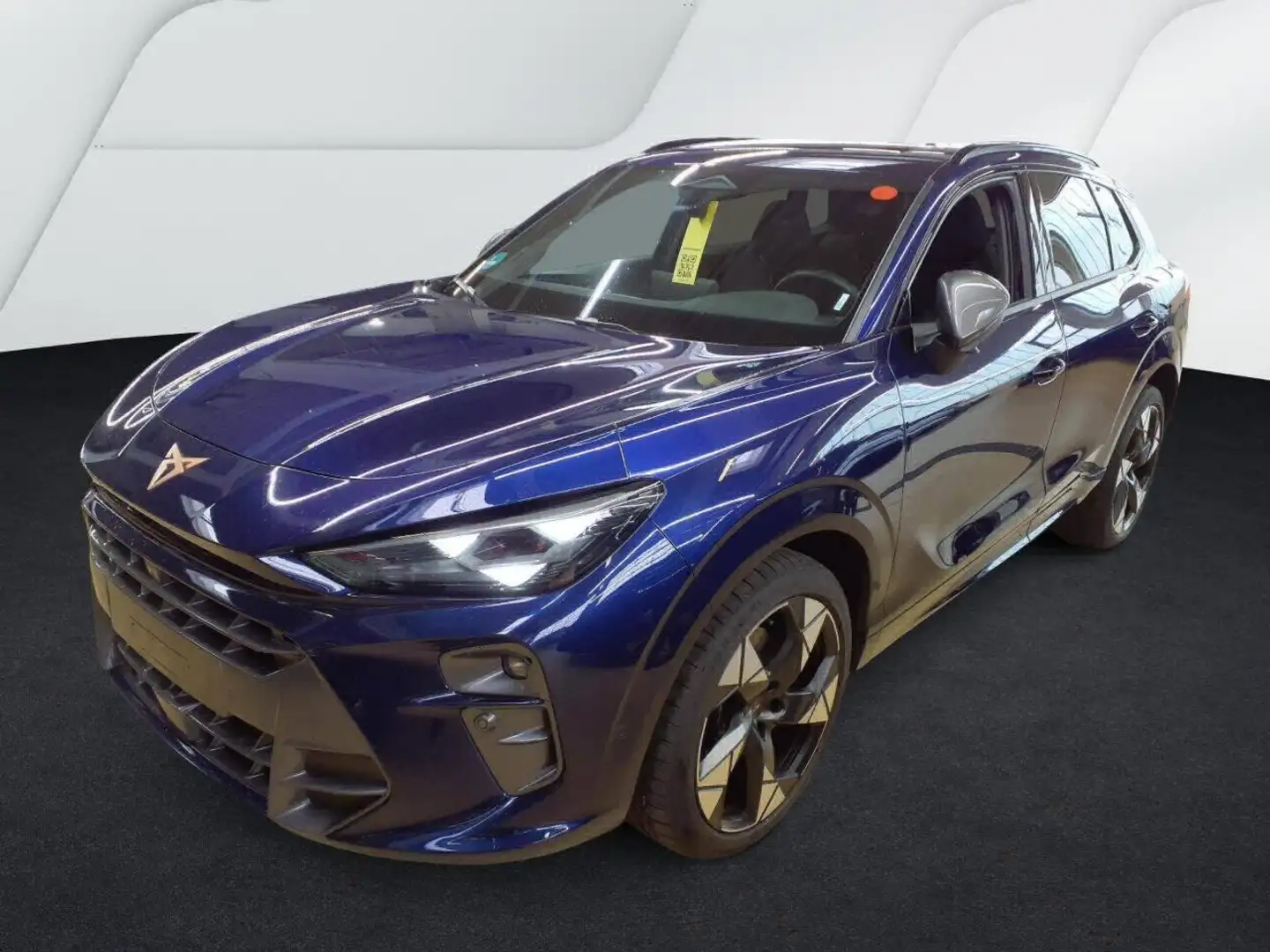 CUPRA Terramar VZ 2.0 TSI DSG AHK Pano HUD Sennheiser Top View Blau - 2